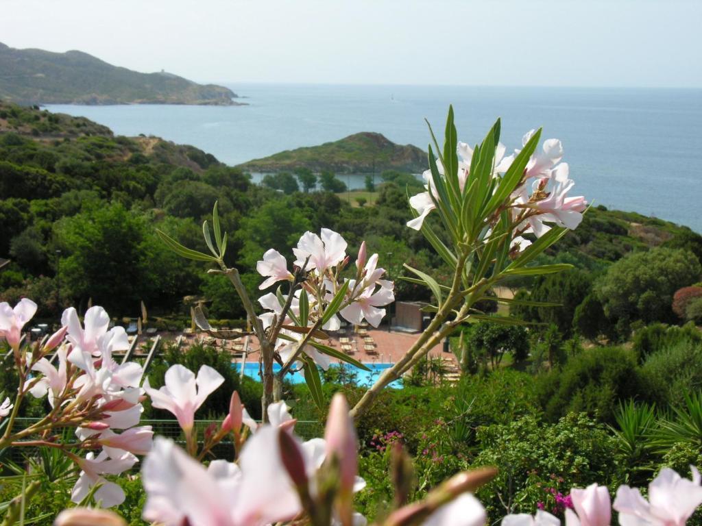 Eco Village Baia Delle Ginestre Teulada Cameră foto